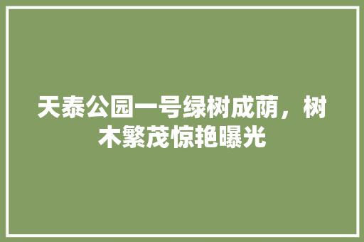 天泰公园一号绿树成荫，树木繁茂惊艳曝光
