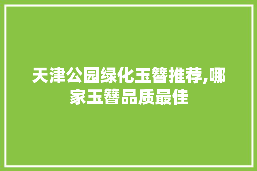 天津公园绿化玉簪推荐,哪家玉簪品质最佳