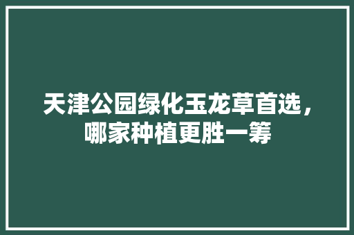 天津公园绿化玉龙草首选，哪家种植更胜一筹