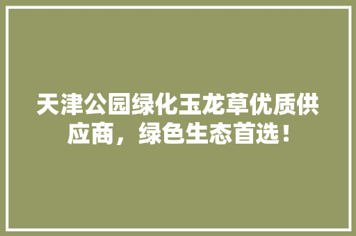 天津公园绿化玉龙草优质供应商，绿色生态首选！