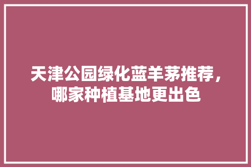 天津公园绿化蓝羊茅推荐，哪家种植基地更出色