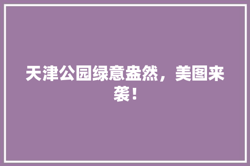 天津公园绿意盎然，美图来袭！