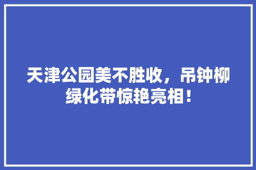 天津公园美不胜收，吊钟柳绿化带惊艳亮相！