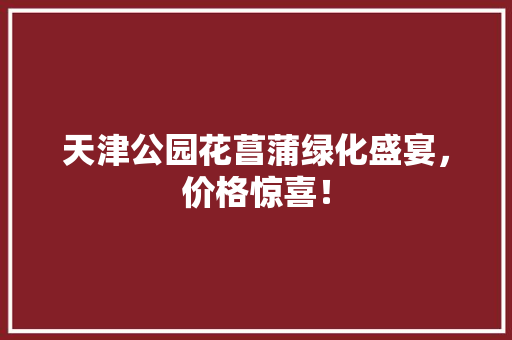 天津公园花菖蒲绿化盛宴，价格惊喜！