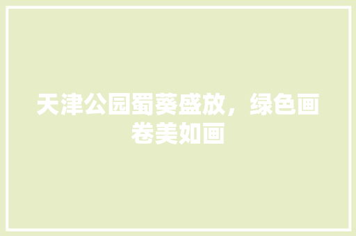 天津公园蜀葵盛放，绿色画卷美如画