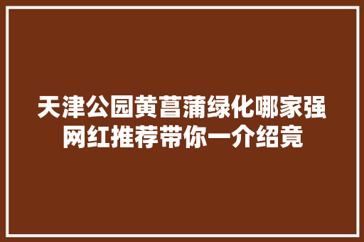 天津公园黄菖蒲绿化哪家强网红推荐带你一介绍竟