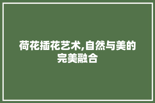荷花插花艺术,自然与美的完美融合