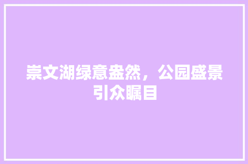 崇文湖绿意盎然，公园盛景引众瞩目
