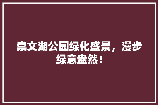 崇文湖公园绿化盛景，漫步绿意盎然！