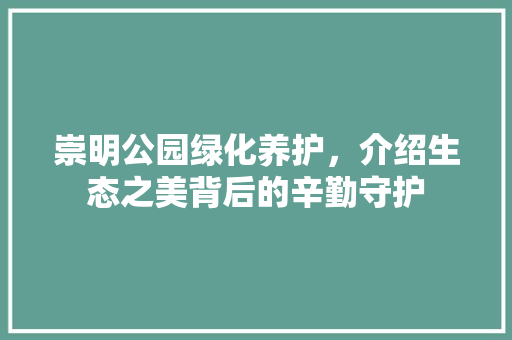 崇明公园绿化养护，介绍生态之美背后的辛勤守护
