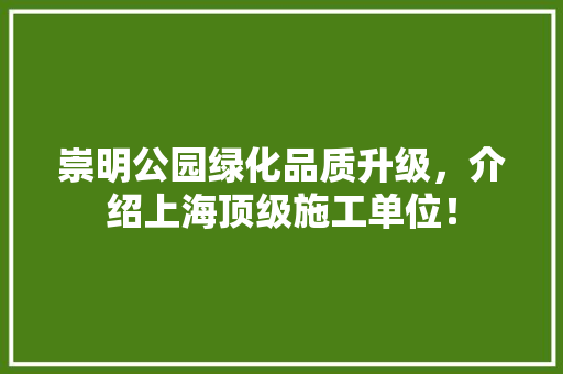 崇明公园绿化品质升级，介绍上海顶级施工单位！