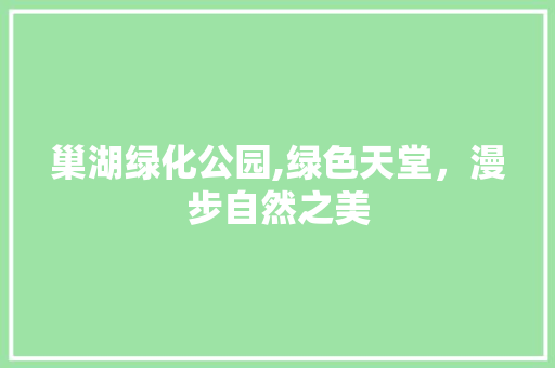 巢湖绿化公园,绿色天堂，漫步自然之美