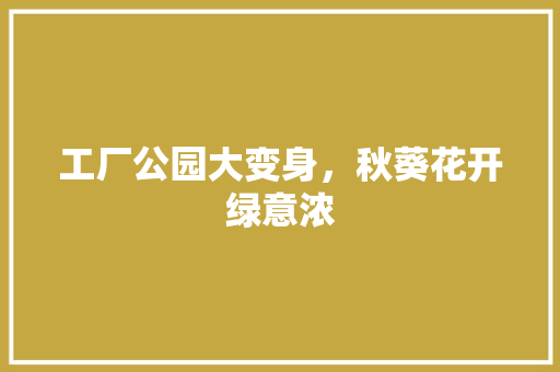 工厂公园大变身，秋葵花开绿意浓