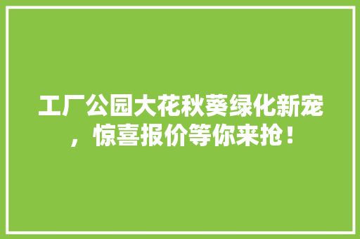 工厂公园大花秋葵绿化新宠，惊喜报价等你来抢！