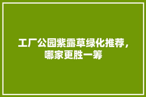 工厂公园紫露草绿化推荐，哪家更胜一筹