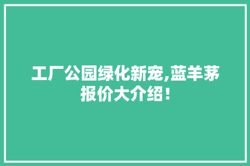 工厂公园绿化新宠,蓝羊茅报价大介绍！