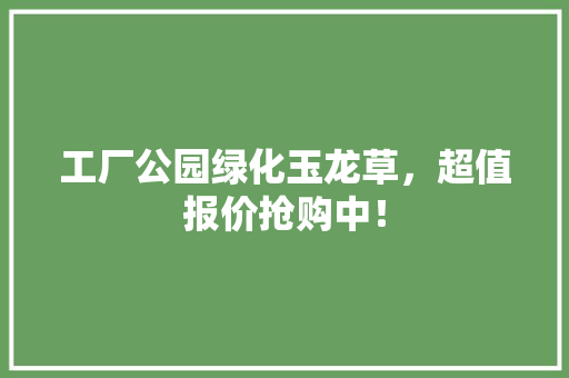 工厂公园绿化玉龙草，超值报价抢购中！