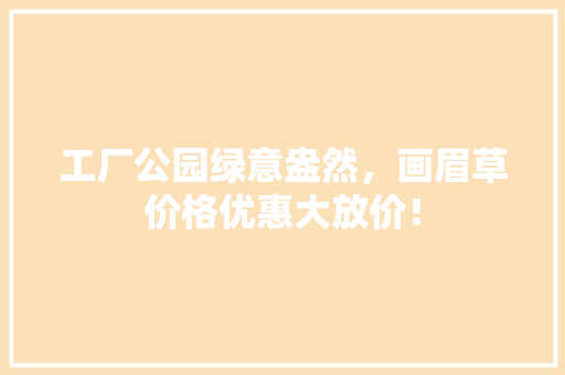 工厂公园绿意盎然，画眉草价格优惠大放价！