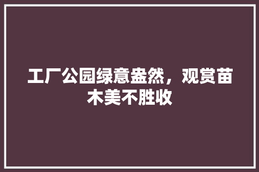 工厂公园绿意盎然，观赏苗木美不胜收