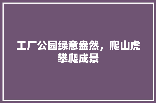工厂公园绿意盎然，爬山虎攀爬成景