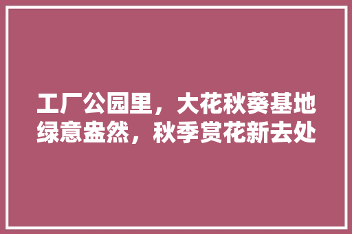 工厂公园里，大花秋葵基地绿意盎然，秋季赏花新去处！