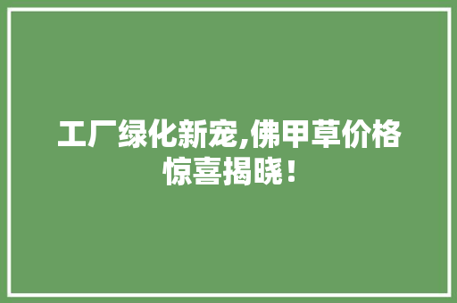 工厂绿化新宠,佛甲草价格惊喜揭晓！