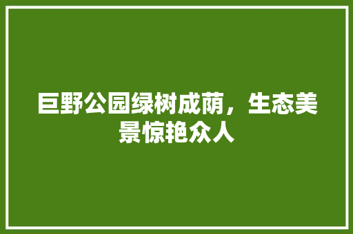 巨野公园绿树成荫，生态美景惊艳众人