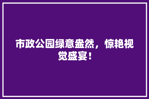 市政公园绿意盎然，惊艳视觉盛宴！