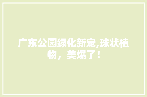 广东公园绿化新宠,球状植物，美爆了！