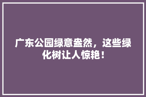 广东公园绿意盎然，这些绿化树让人惊艳！