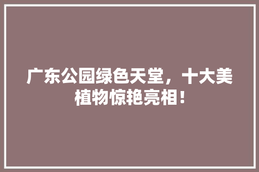 广东公园绿色天堂，十大美植物惊艳亮相！