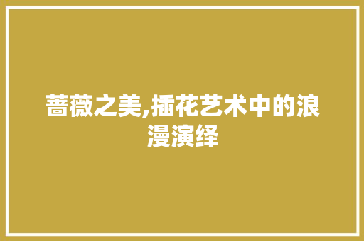 蔷薇之美,插花艺术中的浪漫演绎