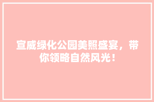 宣威绿化公园美照盛宴，带你领略自然风光！