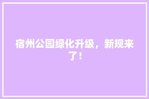 宿州公园绿化升级，新规来了！