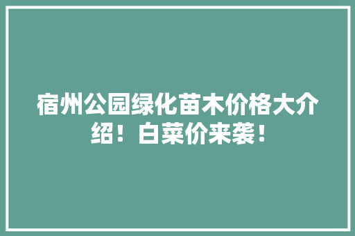 宿州公园绿化苗木价格大介绍！白菜价来袭！