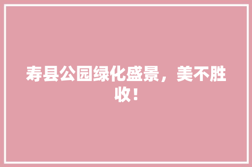 寿县公园绿化盛景，美不胜收！
