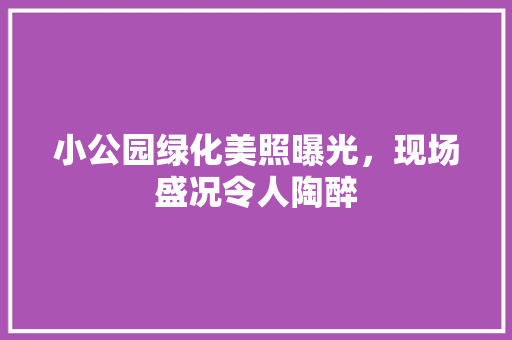 小公园绿化美照曝光，现场盛况令人陶醉