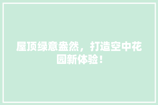 屋顶绿意盎然，打造空中花园新体验！