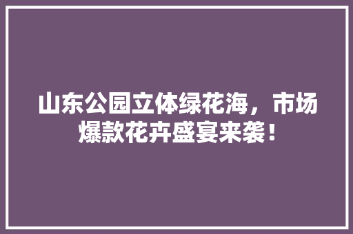 山东公园立体绿花海，市场爆款花卉盛宴来袭！