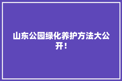 山东公园绿化养护方法大公开！