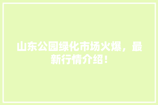山东公园绿化市场火爆，最新行情介绍！