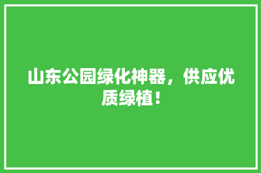 山东公园绿化神器，供应优质绿植！