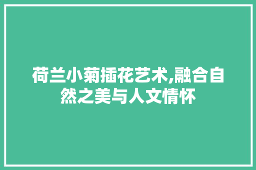 荷兰小菊插花艺术,融合自然之美与人文情怀