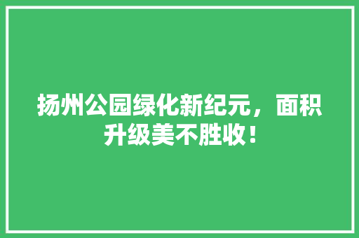 扬州公园绿化新纪元，面积升级美不胜收！