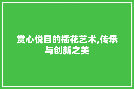赏心悦目的插花艺术,传承与创新之美