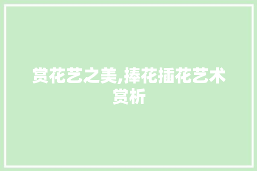 赏花艺之美,捧花插花艺术赏析