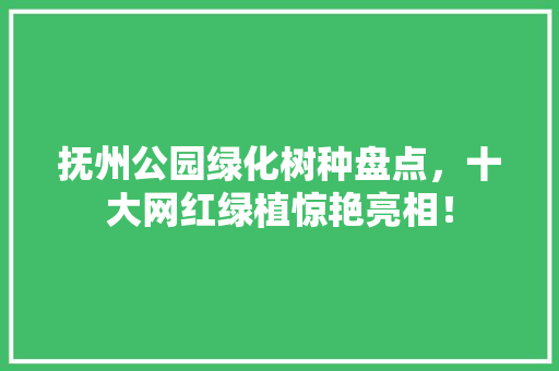 抚州公园绿化树种盘点，十大网红绿植惊艳亮相！