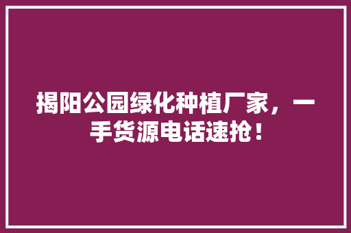 揭阳公园绿化种植厂家，一手货源电话速抢！