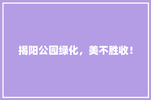 揭阳公园绿化，美不胜收！