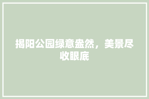 揭阳公园绿意盎然，美景尽收眼底
